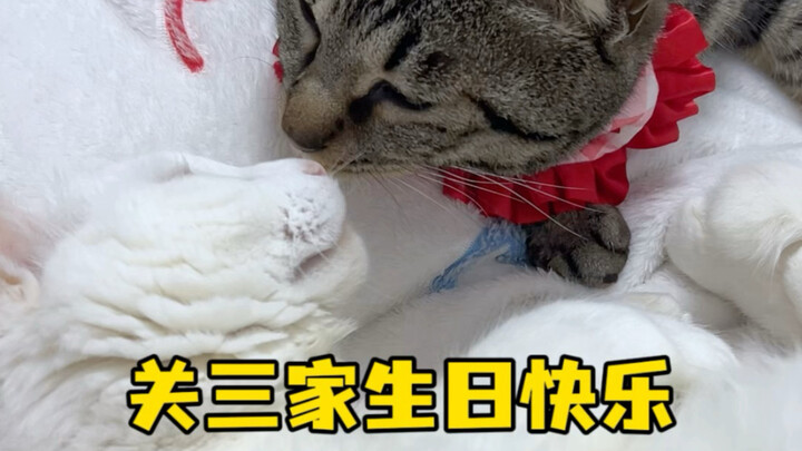 Chúc sinh nhật ba nhà vui vẻ