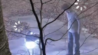 鹿设崩塌！哈利·波特的守护神牡鹿，“本体”竟然是狗绑发光二极管？