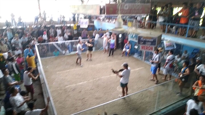 My Lambuhon vs Gray Hennie (02-21-2024)