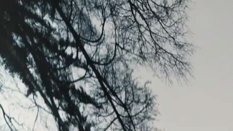 Queen of spades: looking through the glass | full movie in English dub | 2019