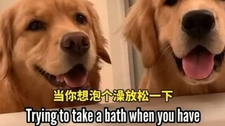 عندما ترغب في أخذ حمام والاسترخاء قليلاً، يأتي اثنان من الحمقى الصغار ليشاغباك؛ أحدهما يهتم بتحضير ا