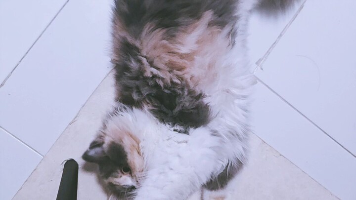 สลิบ สลาพ