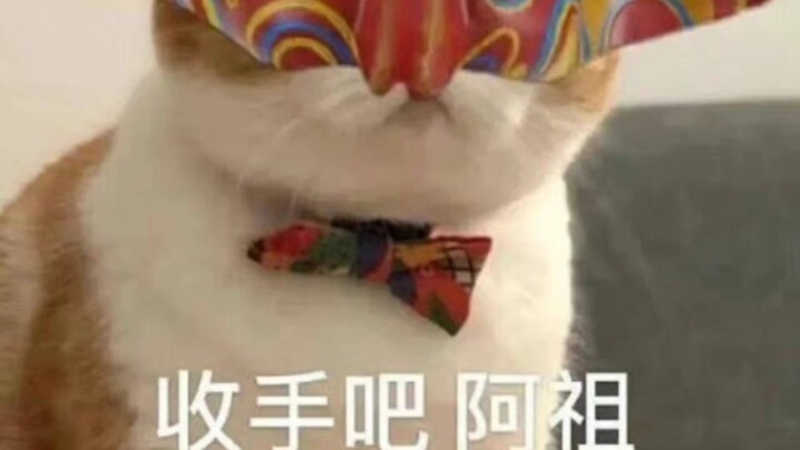 ทีมออลสตาร์