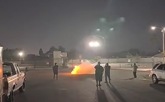 What are these fireworks called? I want one too!