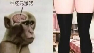 那些让人笑到肚子疼的沙雕图＃230