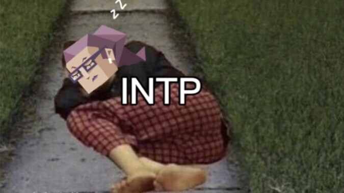 INTP's Daily Life