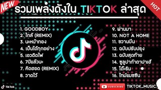 รวมเพลงดังในTikTokล่าสุด รวมเพลงฮิตในแอพติ๊กต๊อกล่าสุด เพราะๆฟังสบายๆ_3