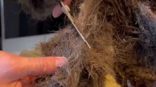 这位女士已经两年没有打理头发了，满头都是死结、污垢，修剪梳理后清爽了不少