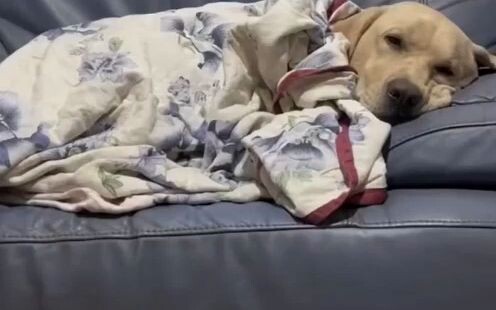 Stop staring—this is just you, lounging on the couch watching TV.