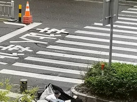 It’s raining today, so I haven’t been to the shop yet. From upstairs, I saw this scene: a very sensi