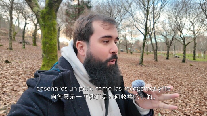 在森林里寻找栗子