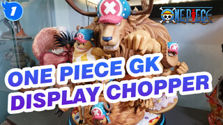 One Piece GK Display
Chopper_1