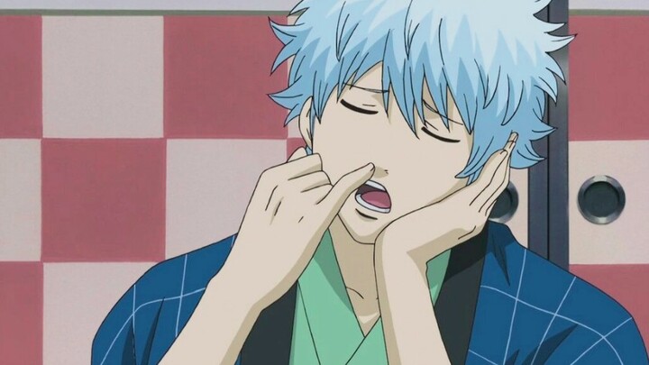 [ Gintama ‖ Sakata Gintoki] Who can resist such a silver cat?