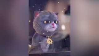 cầm lòng siếc tay 😞 tamtrangplus tamtrang sad meocute