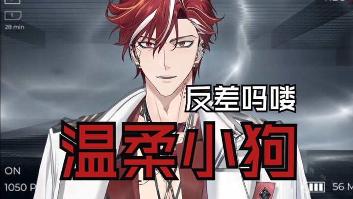【吕和今Asota】反差吗喽 来看温柔小狗！