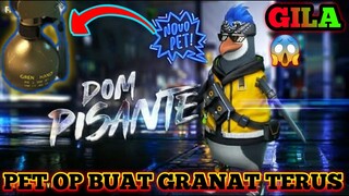 UDAH FIX‼INI DIA SKILL PET TERBARU PISANTE FREE FIRE