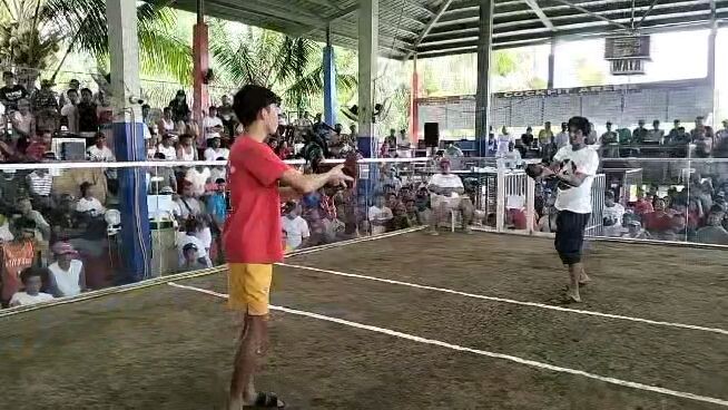 Quadro de jack Farm win vs Lipa ace 888 first fight