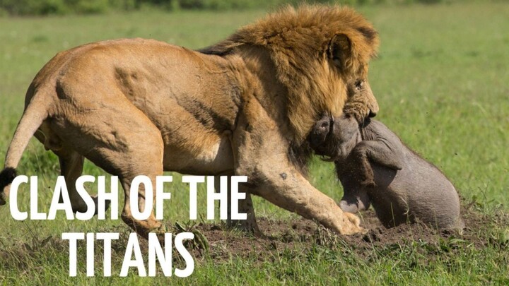 WILD KENYA  Diverse Nature of Kenya Full Documentary (1080P_HD)