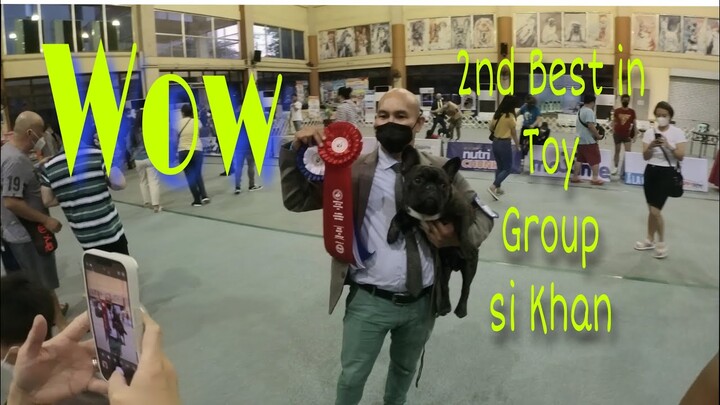 French Bulldog | wow panalo si khan 2nd Best in Group |