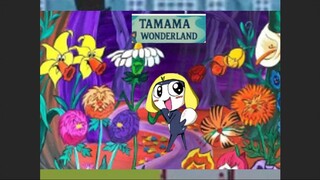 tamama  wonderland  2345