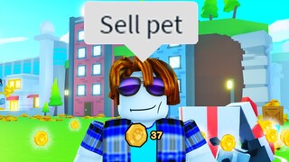 The Roblox Pet Simulator Experience