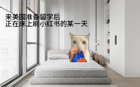 【猫meme】记录我第一次去看安宥真