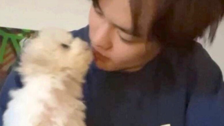 ฉัน จงเฉินเล่อ มีหมาแล้ว!