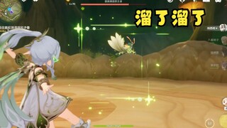 鸡哥怎么跑路了