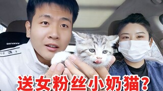 I drove to deliver a cat to my female fan, only to find she brought me local specialties and even in