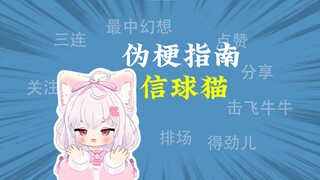 信球猫是什么梗【伪梗指南】
