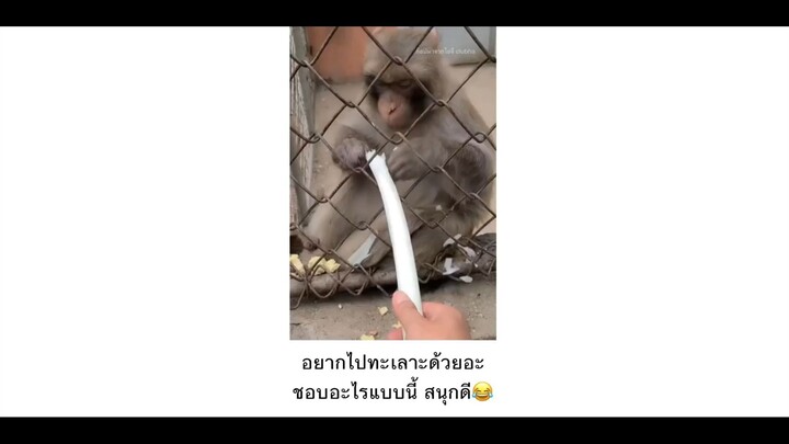 อยากไปทะเลาะด้วยอ่ะ