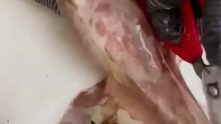 A chef fillets a fish.