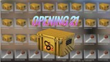 What can you get out of opening 21 🐍bite casess? [CSGO]