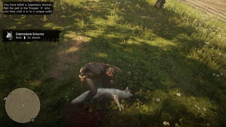 Hunt: Legendray Fox 🤑🤑