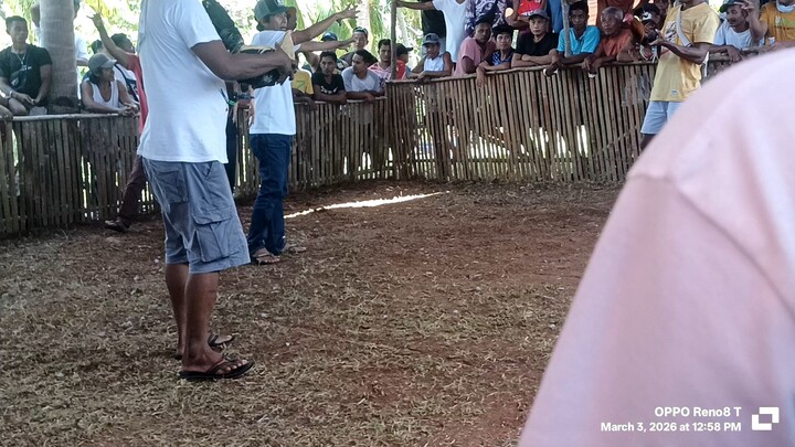 talisay vs pula puti paa