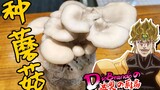 【迪奥の厨房】采蘑菇的小迪奥