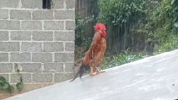 Social Hotspot Information Gap on November 6