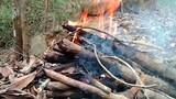 Đốt lửa trong rừng