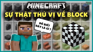 Top BÍ MẬT KHÓ TIN về các BLOCK trong Minecraft