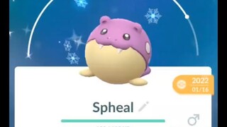 Pokémon GO-Evolving Shiny Spheal