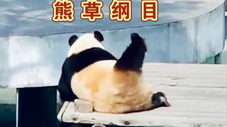 "Compendium of Materia Medica" but panda version!