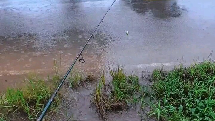 mancing di temani hujan rintik-rintik 😁