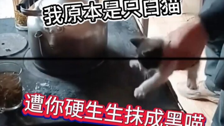 我都把抹布拿出来了，你还拿我擦！