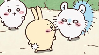 【Chiikawa】Thế lực lông lá độc ác bắt nạt Jiyi