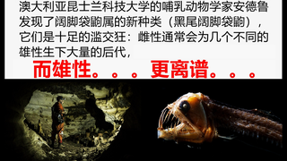 Fakta-fakta aneh yang beragam: Hewan paling suka kawin sembarangan pasti adalah dia!