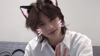 【黄铉辰】队友副业：训小貂师