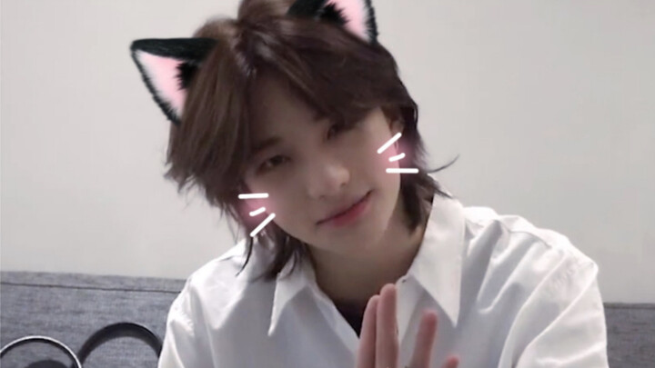 【هوانغ شيوان تشين】العمل الإضافي لزميل الفريق: مدرب المنك الصغير