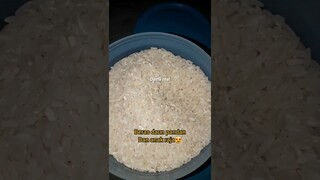 DYMA |ASMR RAW RICE EATING |Makan Beras | asmrrawriceeating| #asmrsounds  #asmr #shorts #mukbang(2)