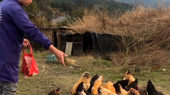 Dari video mana kalian pertama kali mengenal aku?