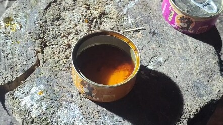 Chinese-made miniature donkey meat canned food.